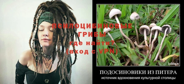 гашик Балабаново
