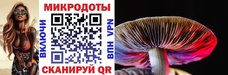 Псилоцибиновые грибы Psilocybine cubensis  Троицк 